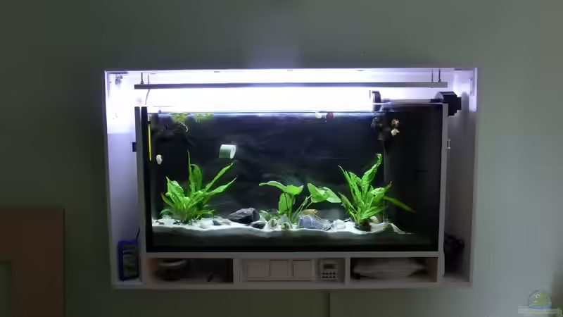 Ohne Babybecken von The BugZ (4)