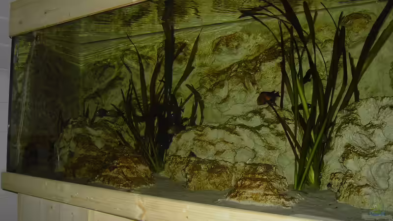 ohne Beleuchtung von Enrico Pinkert (6)