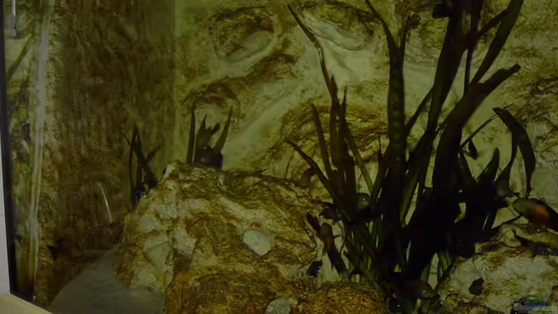 ohne Beleuchtung von Enrico Pinkert (7)