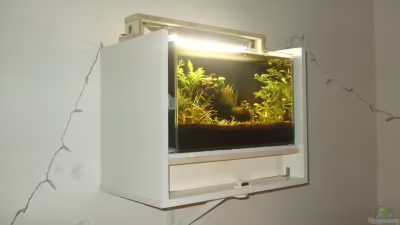 ohne Blende, zu Beginn von lukasg (5)