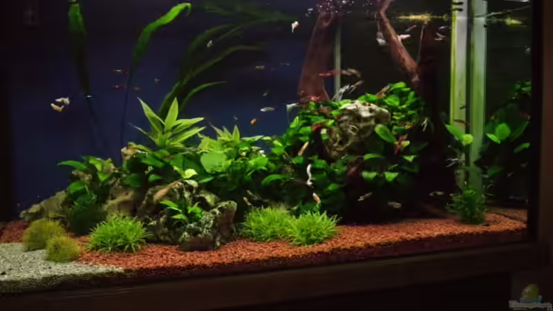 ohne blitz fotograviert von Manfred und Heidi Reis (2)