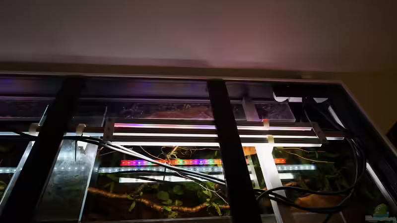 ohne Deckel rechts von Jonas B. (40)