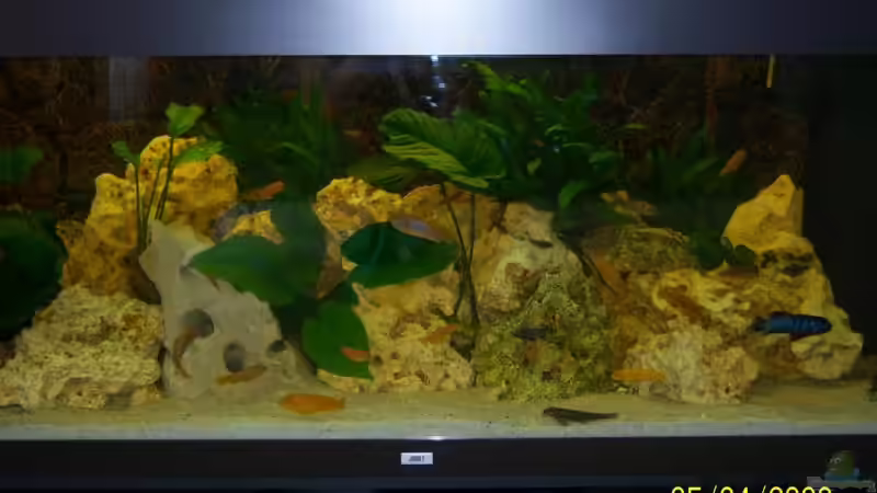 ohne licht von Rene Nolting (2)