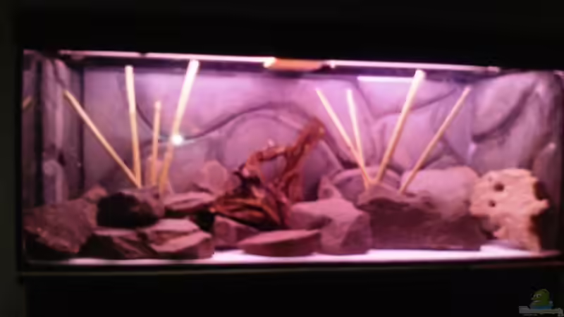 ohne sand fische und wasser