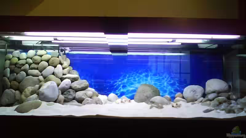 ohne Wasser von Gernold Lengert (14)