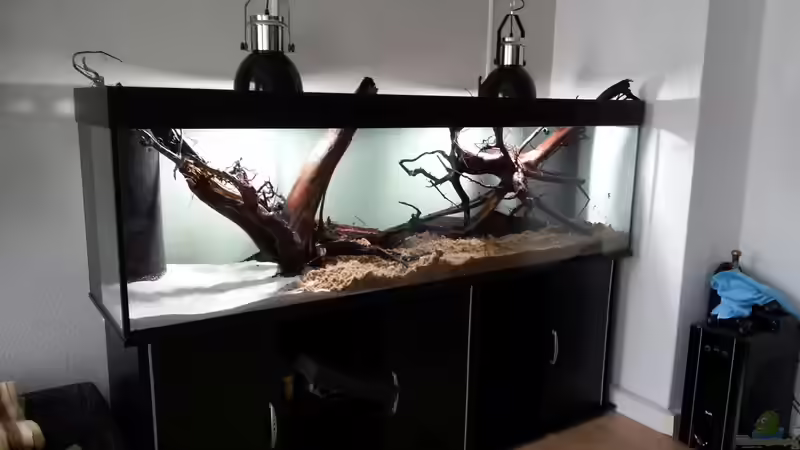 ohne Wasser von seb (11)