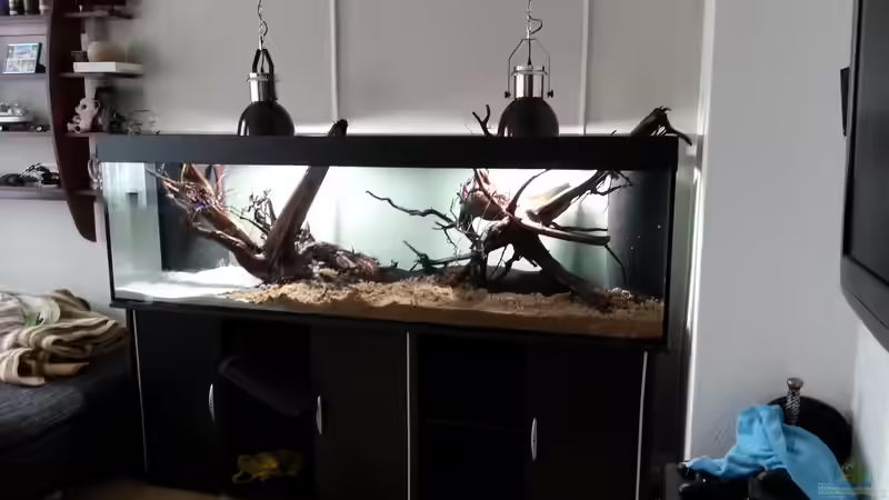 ohne Wasser von seb (12)