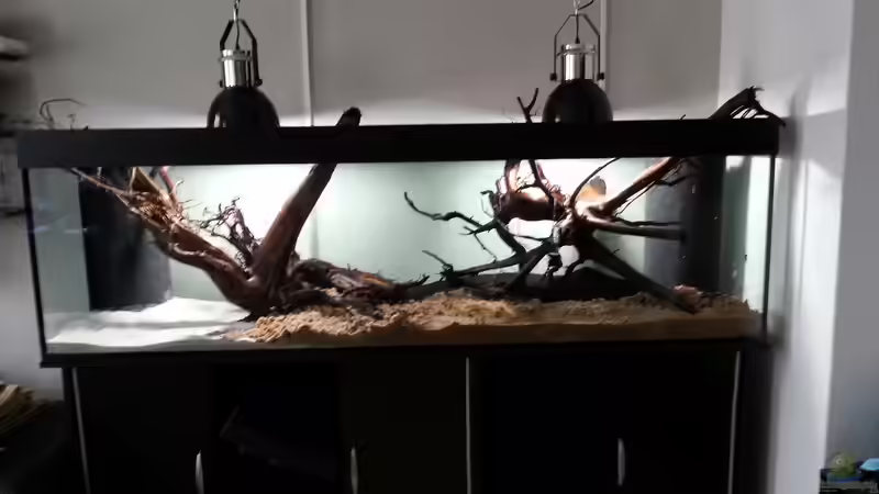 ohne Wasser von seb (13)