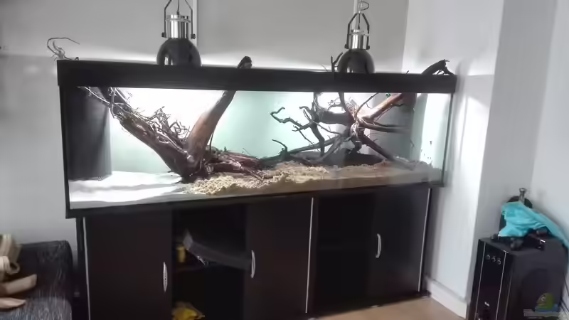 ohne Wasser von seb (14)