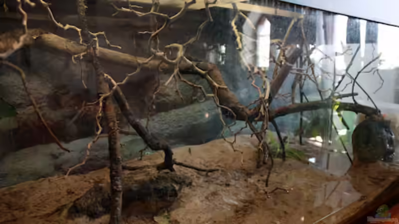 Ohne Wasser2 von Tobias Seiffert (4)