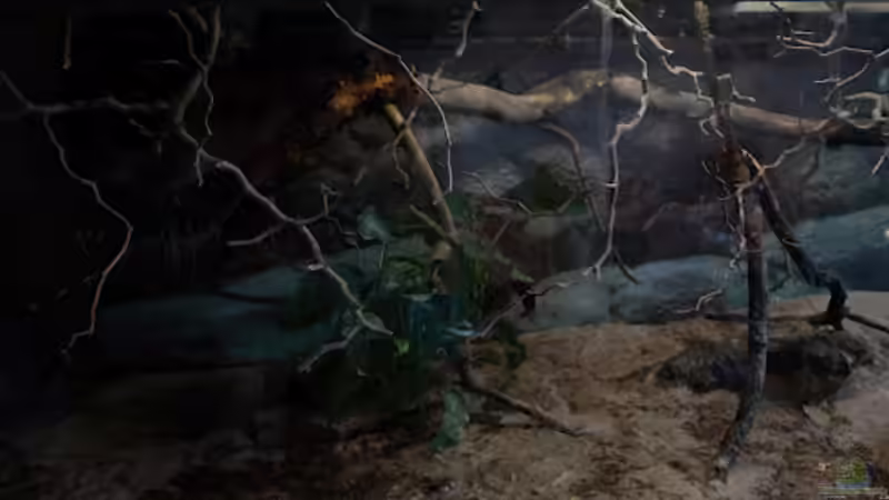 Ohne Wasser3 von Tobias Seiffert (5)