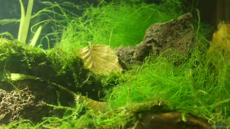 ohne Worte..... von SouthAmerica (46)