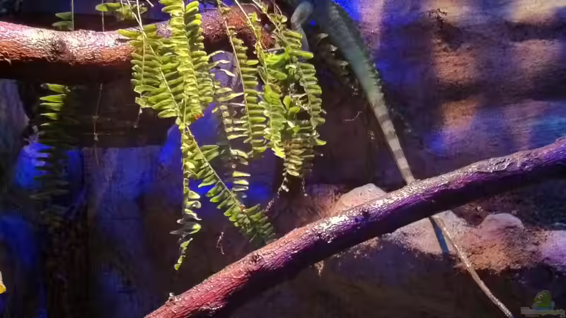 ohne Worte ;)  von Betta Chris (12)