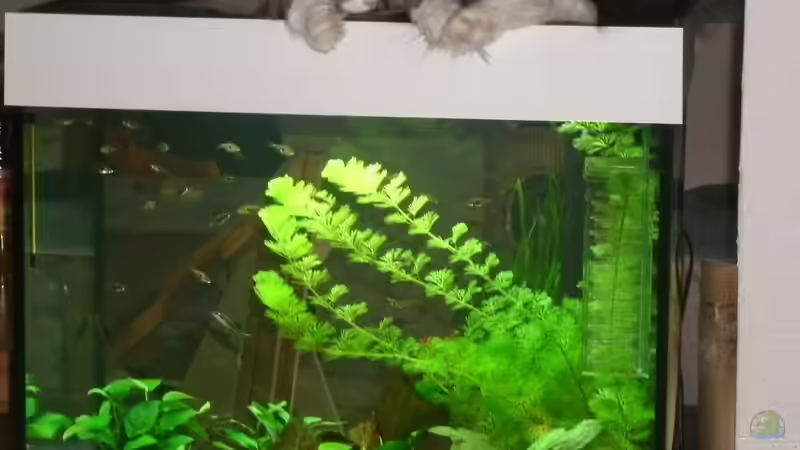 ohne Worte !!! von Nils Blümle (1)