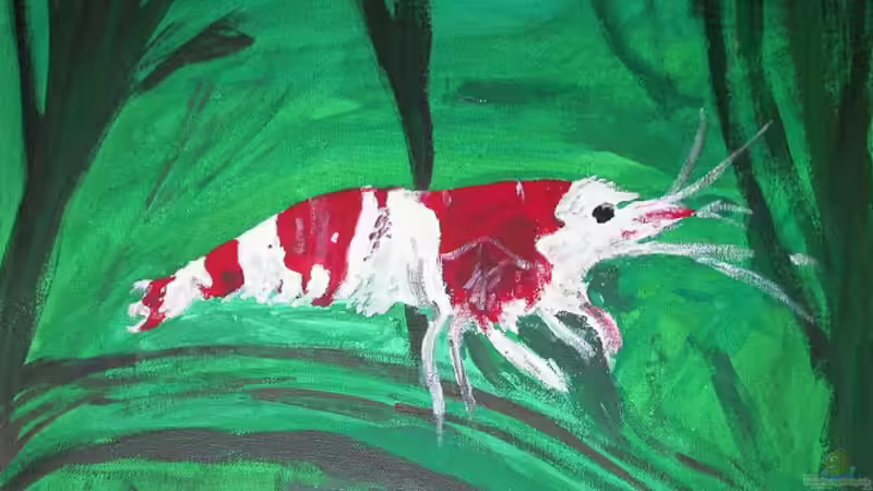 ohne Worte von Susanne Schmohl (19)