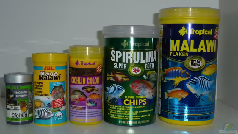 ok; keine Pflanzen, aber mein Futterangebot von Tobias.Neher (14)