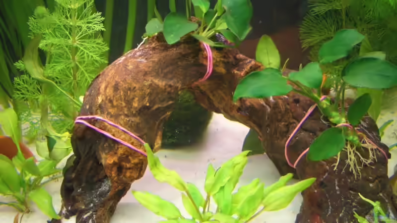 Ok die gummis sehen Sch31c3 aus, kommen bald ab von Gerd Bunge (6)