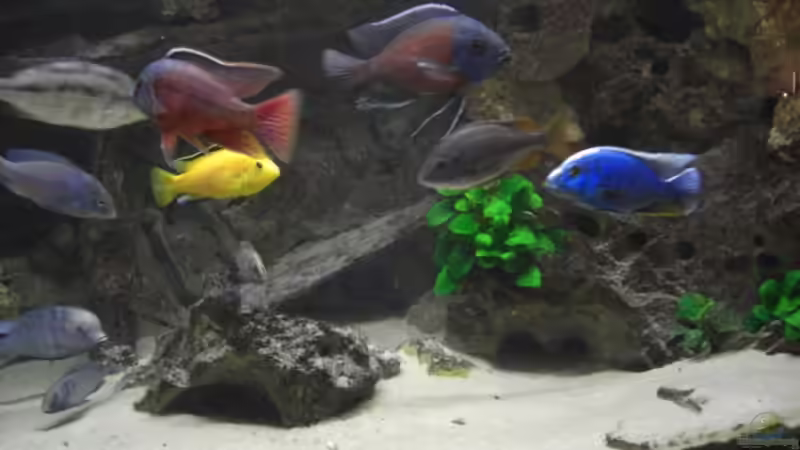 Okt. 2007 von Stephan Ascher (16)