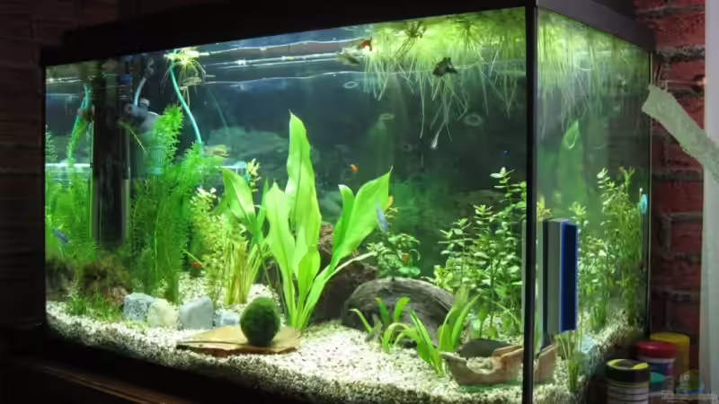 Oktober 08 von Marlone (2)