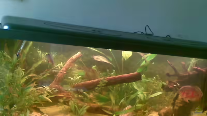 oktober 08 von Pauli (2)