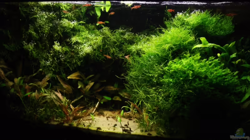 Oktober 09 von basetim (14)