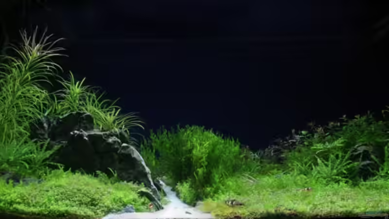 Oktober 2008 von Michael Schwendinger (3)