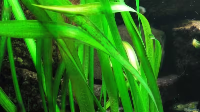 Oktober 2008 von timme (21)