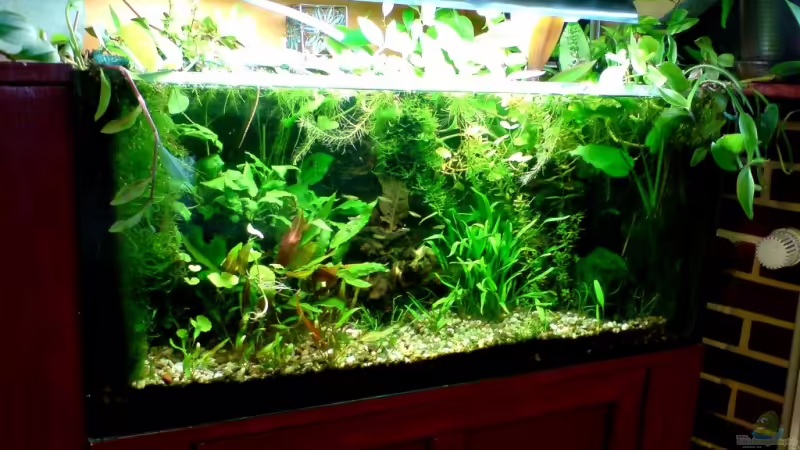 Oktober 2008 von timme (5)