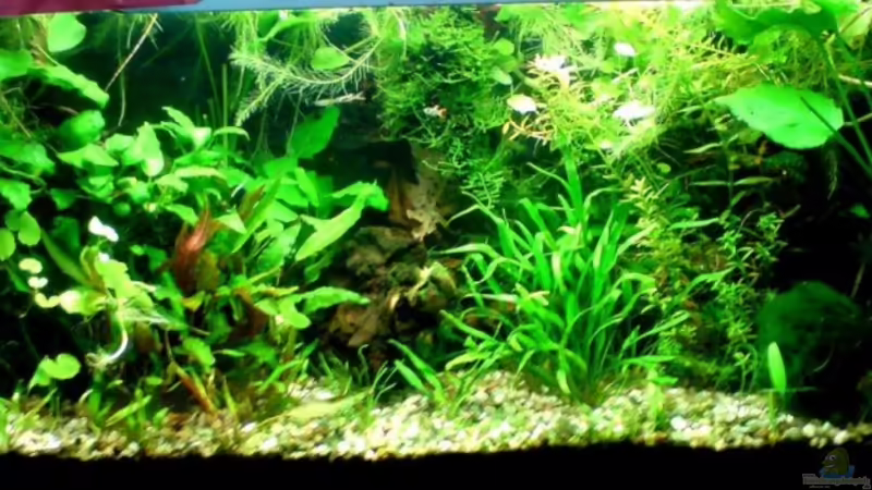 Oktober 2008 von timme (6)