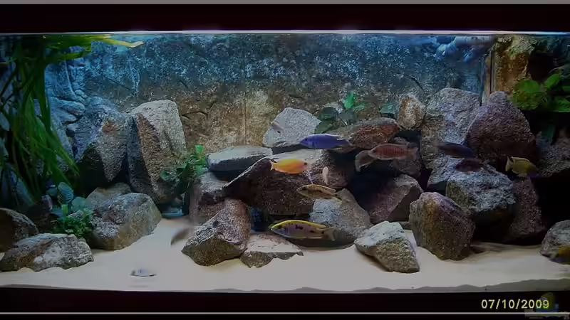 Oktober 2009 von ***ELLIS*** (14)