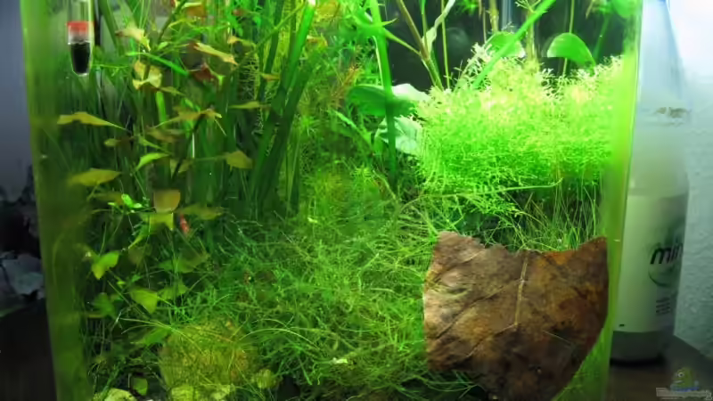 Oktober 2009 von Marlone (4)