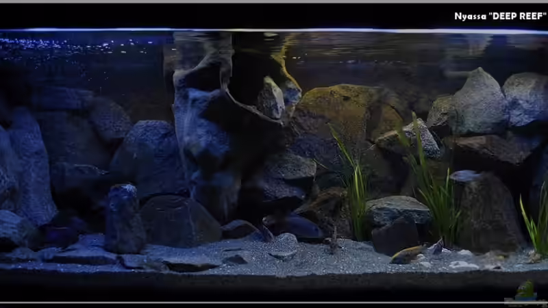 Oktober 2010 von ***ELLIS*** (19)