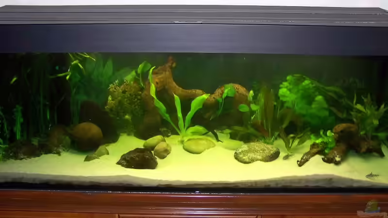 Oktober 2010 von Peter Walenciak (2)