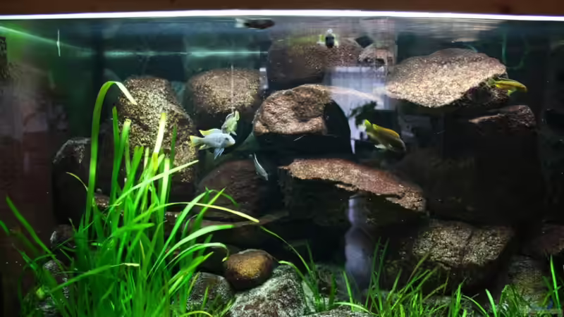 Oktober 2010 von timme (1)