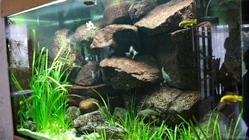 Oktober 2010 von timme (17)