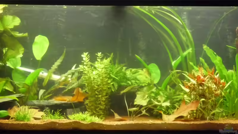 Oktober 2011 von _ME_ (6)