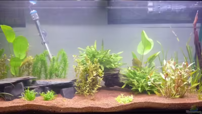 Oktober 2011 von _ME_ (7)