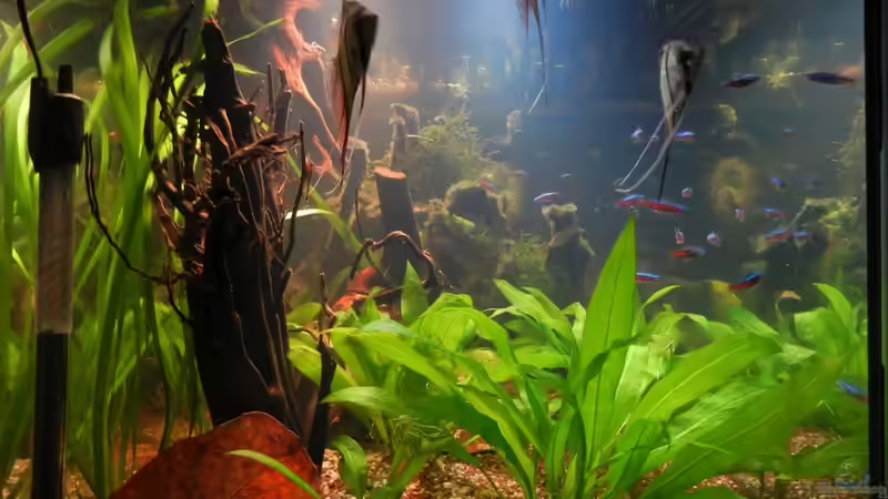 Oktober 2011 von Life (5)