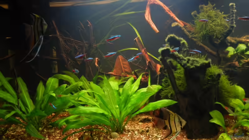 Oktober 2011 von Life (6)