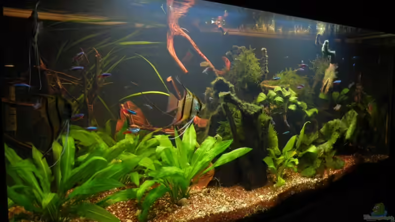 Oktober 2011 von Life (9)