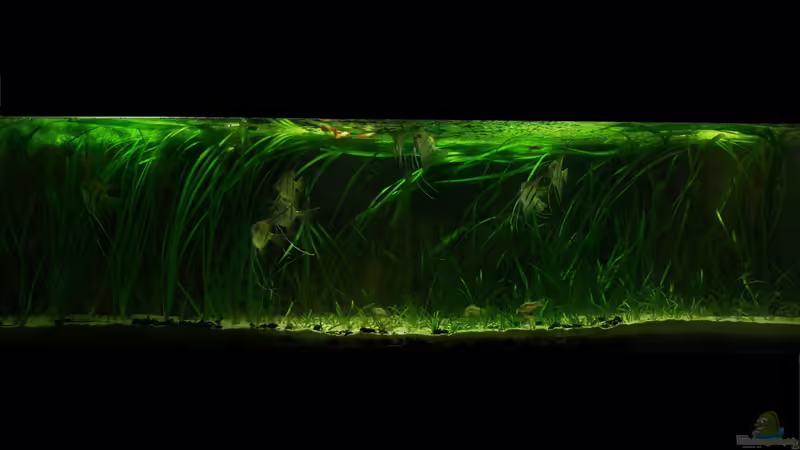 Oktober 2012 von PH Neutral (6)