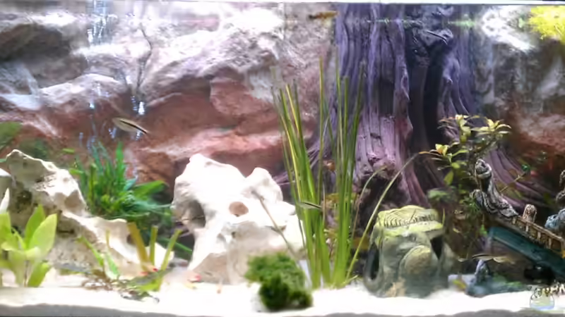 Oktober 2012 von Steph Anie (2)