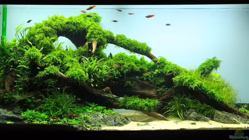 Oktober 2013 von disco-d (2)