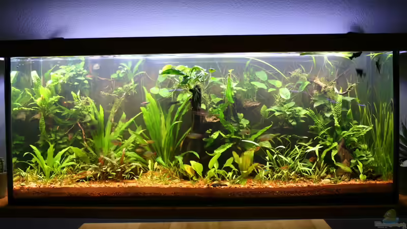 Oktober 2013 von Steven Müller (2)