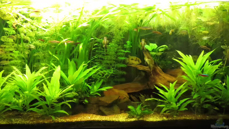 Oktober 2015 von misch (3)