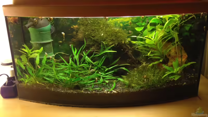 Oktober 2015 von Momo-kocht (1)