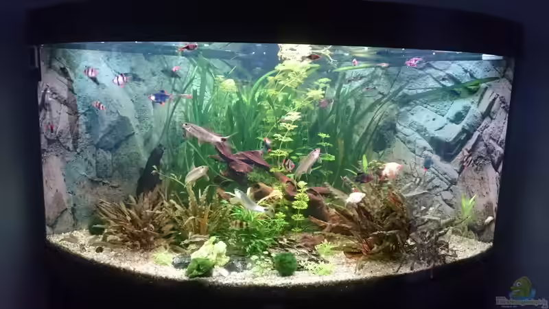 Oktober 2017 von Chris de Bird (1)