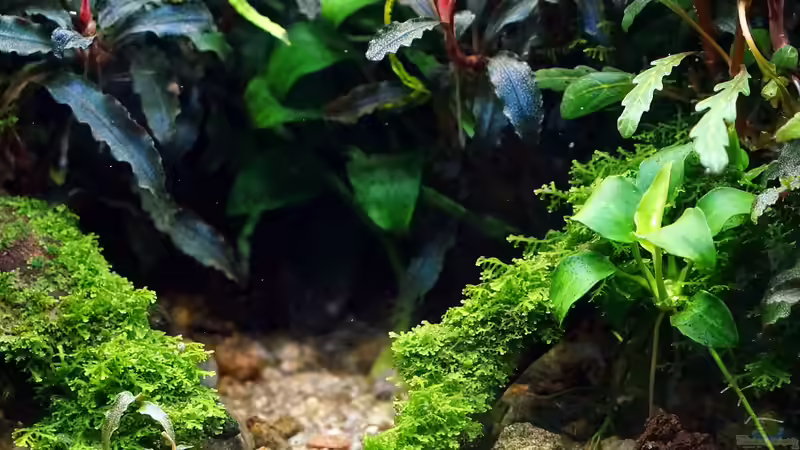 Oktober 2017 von Micha... (40)