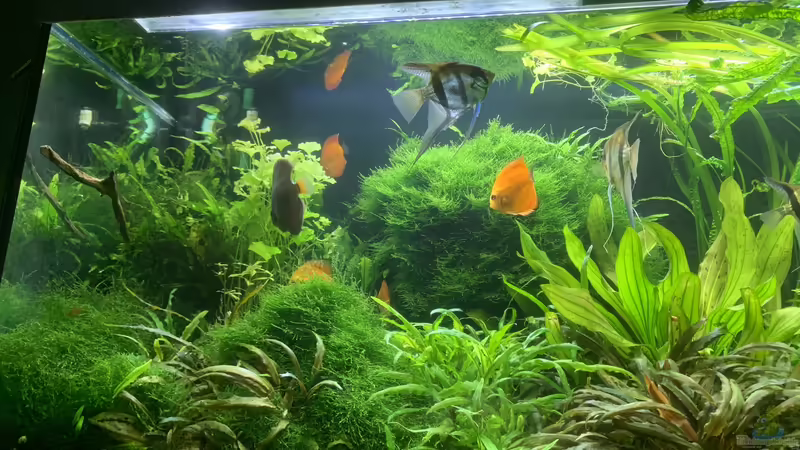 Oktober °22 von signo (24)