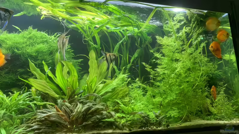 Oktober °22 von signo (25)